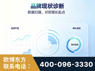 永城-品牌现状诊断