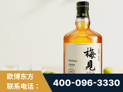 永城-梅见青梅酒